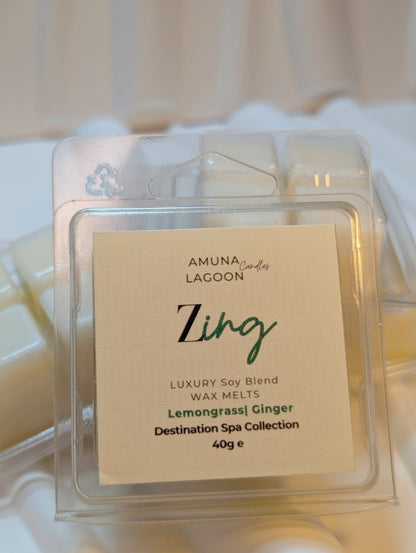 Mini Scented Wax Melts